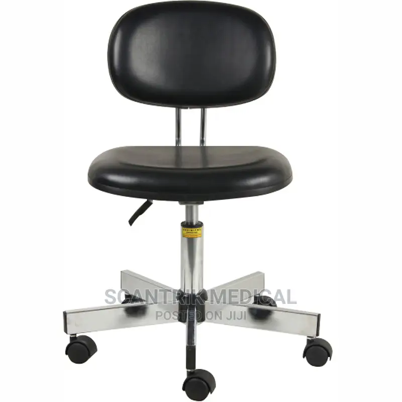 Stainless Steel Backrest Stool