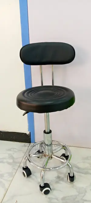 Stool With Backrest / Adjustable Lab Stool With Backrest