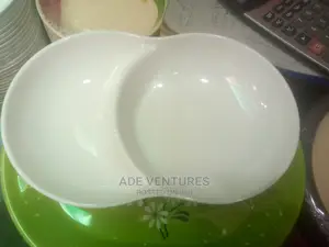 12 Pieces Partition Plate