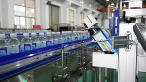 Automatic Laser Batch Date Coding Machine