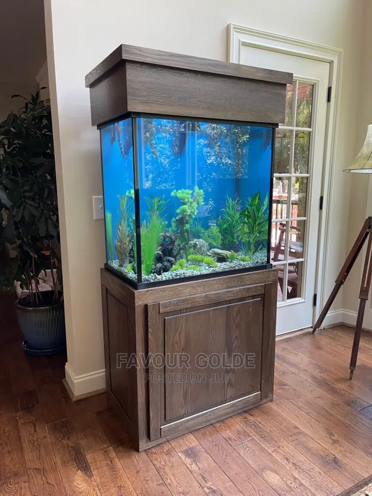 Live Fishs Aquarium