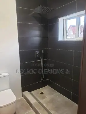 Cleaning Professionals