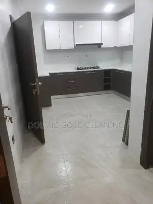Cleaning Professionals