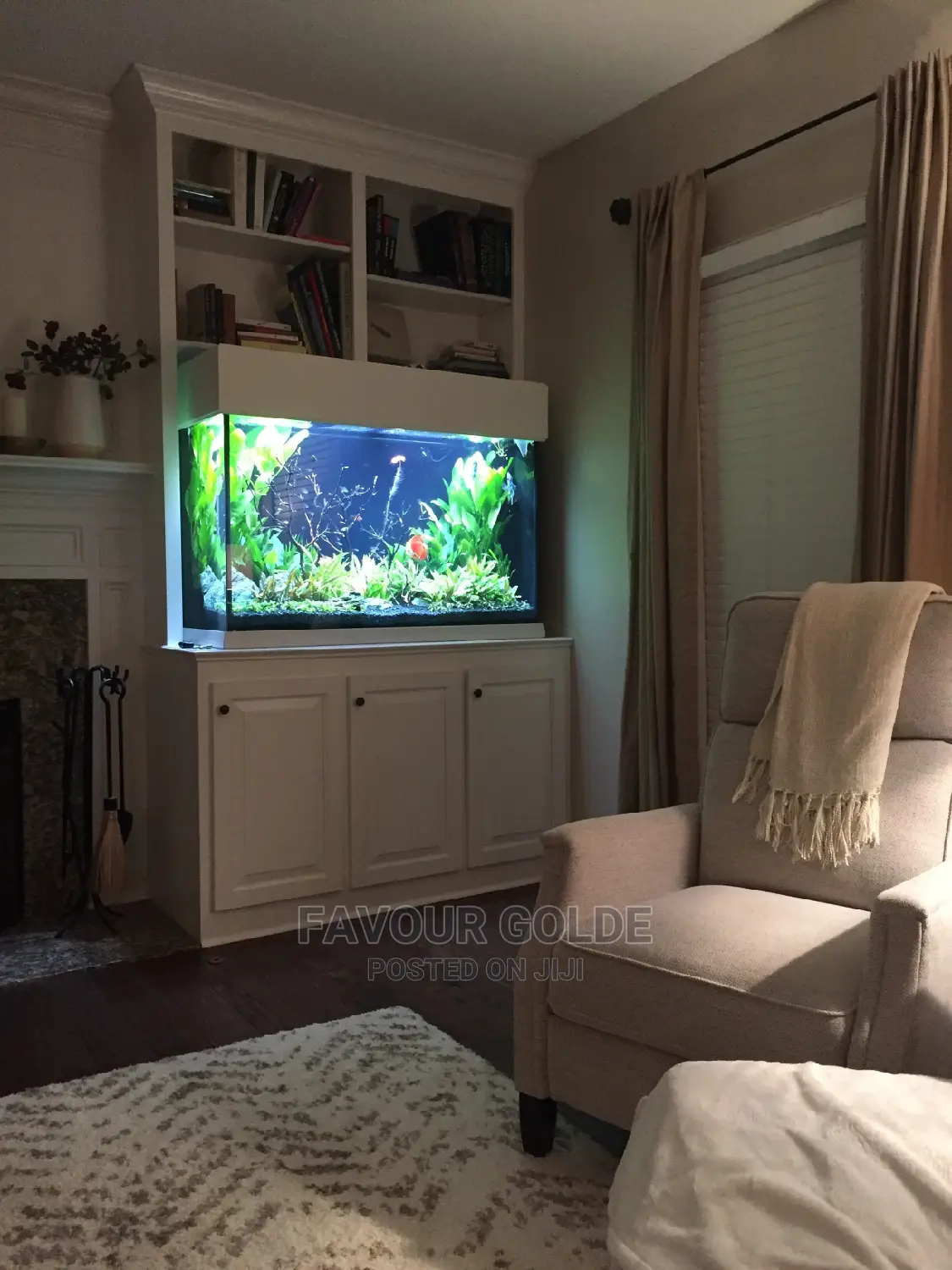 Designed Aquarium