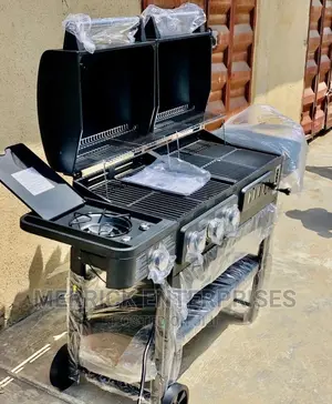 Charcoal And Gas Barbecue Grill