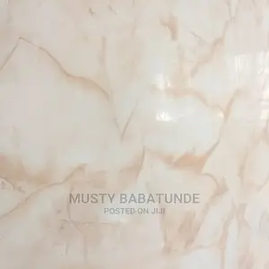 3d Panels and Stucco Marble