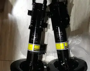Shocks Front for Hyundia and Kia Products Santafe 2015