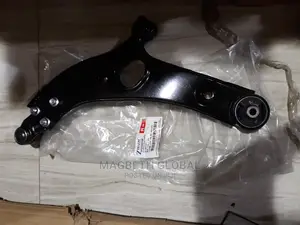 Lower Arm for Hyundia Santafe