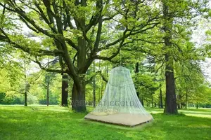 Suspended Canopy Mosquito Net With Ring