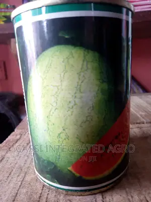 500g Kaolack Watermelon Seed