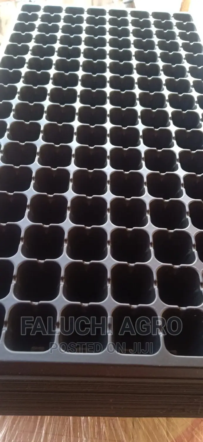 Seed Tray /Nursery Tray ( 128 Holes /Cells)