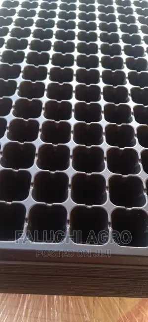 Seed Tray /Nursery Tray ( 128 Holes /Cells)
