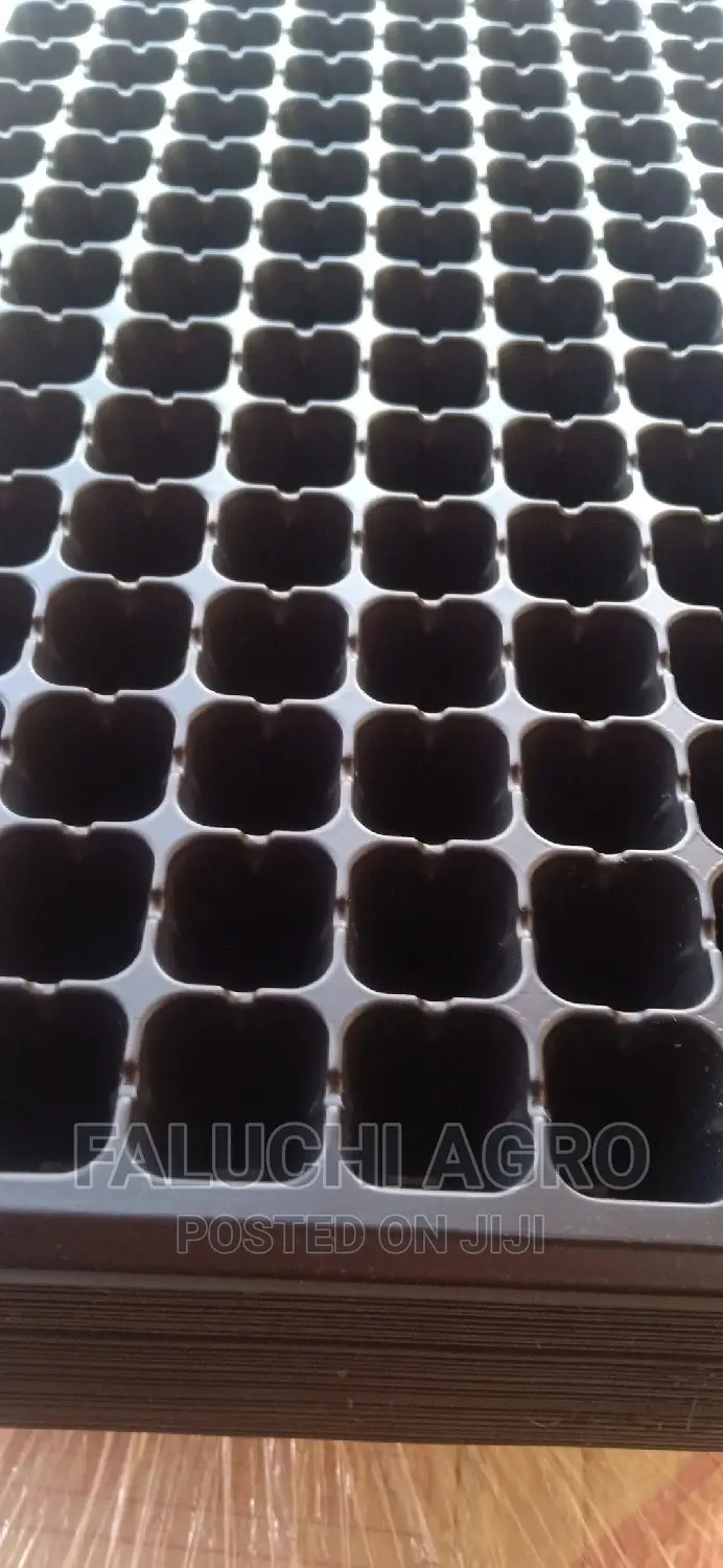 Seed Tray /Nursery Tray ( 128 Holes /Cells)