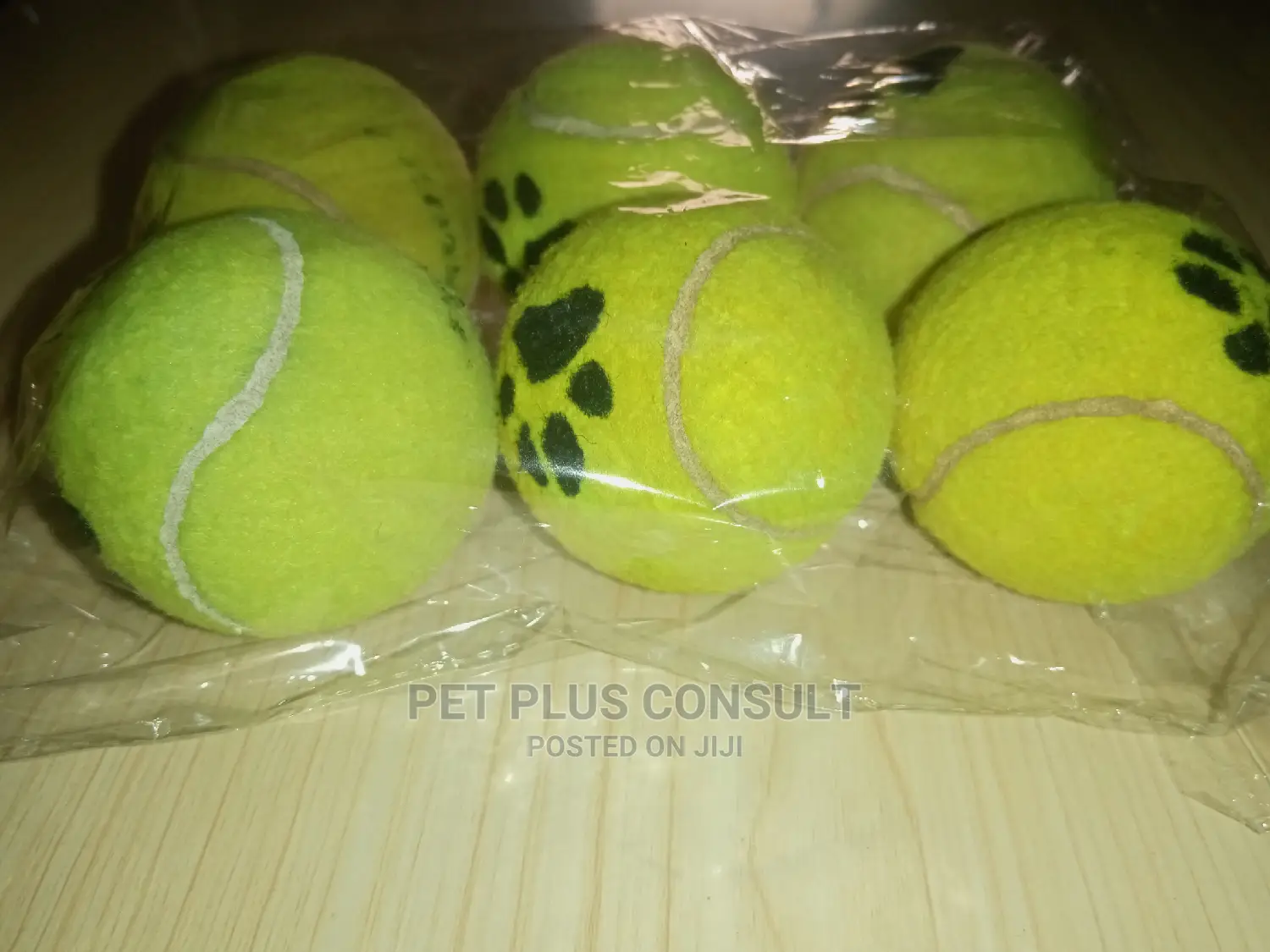 Pet Ball Toy