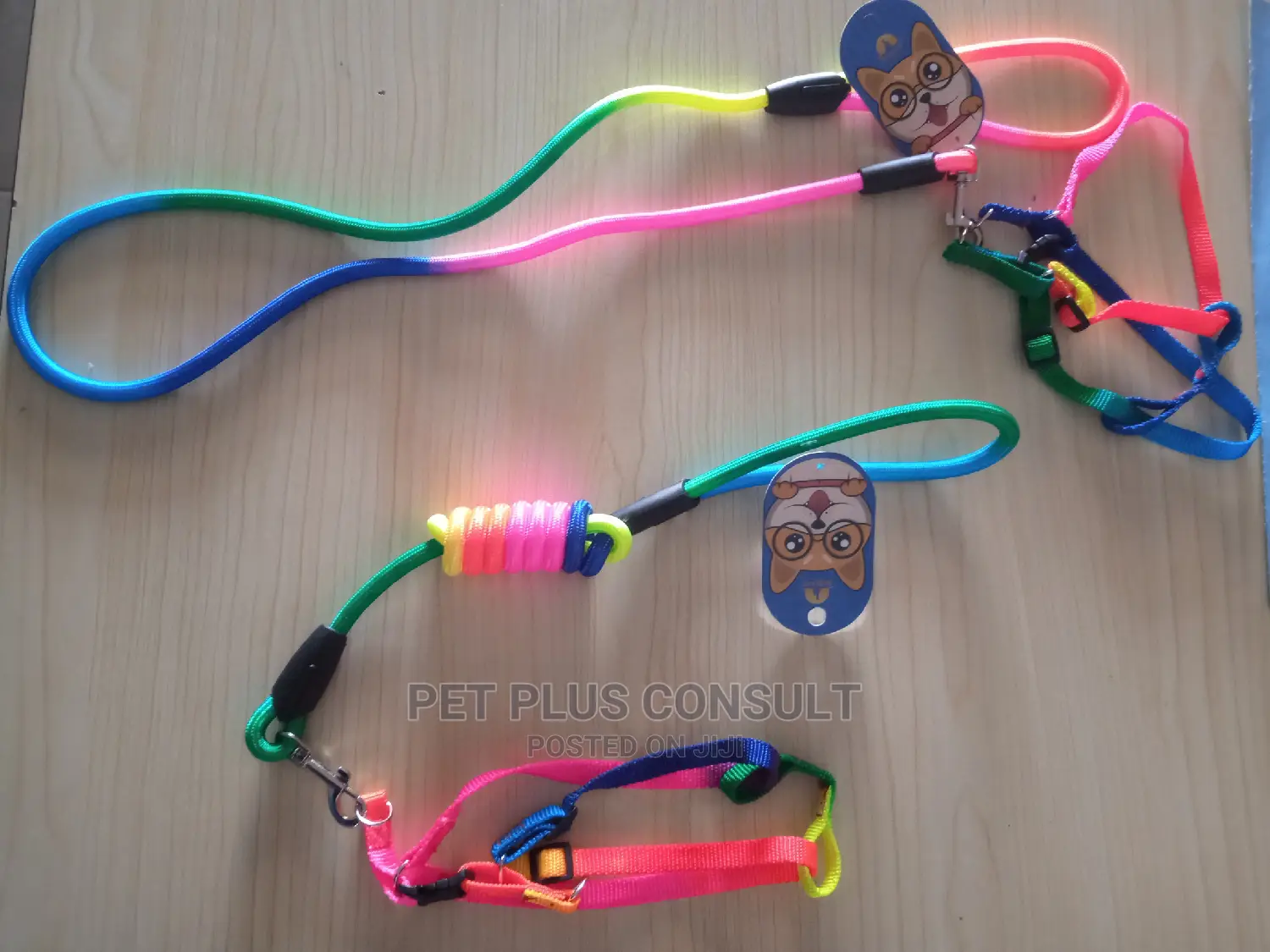 Small Breed Rainbow Harness and Leash