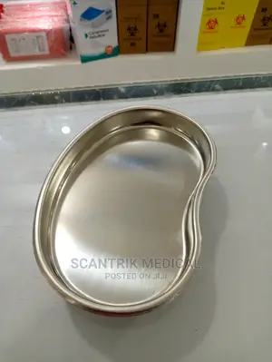 Stainless Steel Kidney Tray
