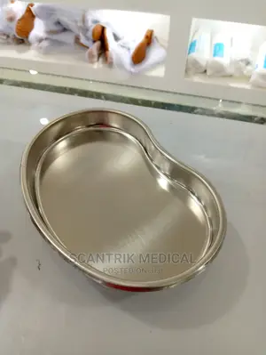 Kidney Bowl Made of Stainless Steel