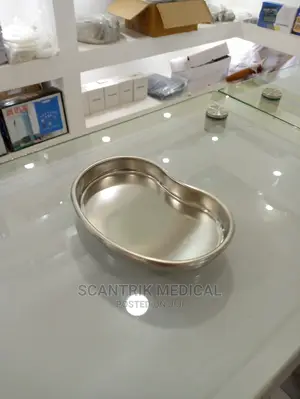 Stainless Steel Kidney Tray 200x130x25mm