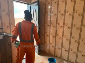 Professional Cleaning With Exceptional Satisfaction