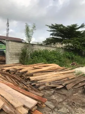 Half Plot of Land Facing Express