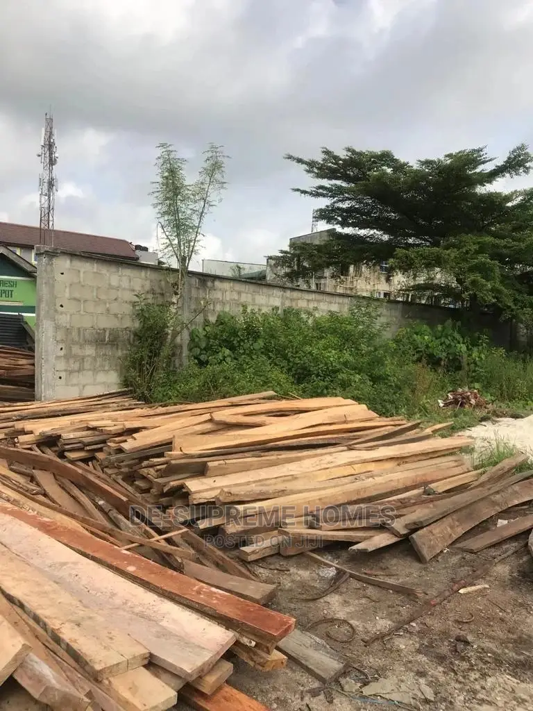 Half Plot of Land Facing Express
