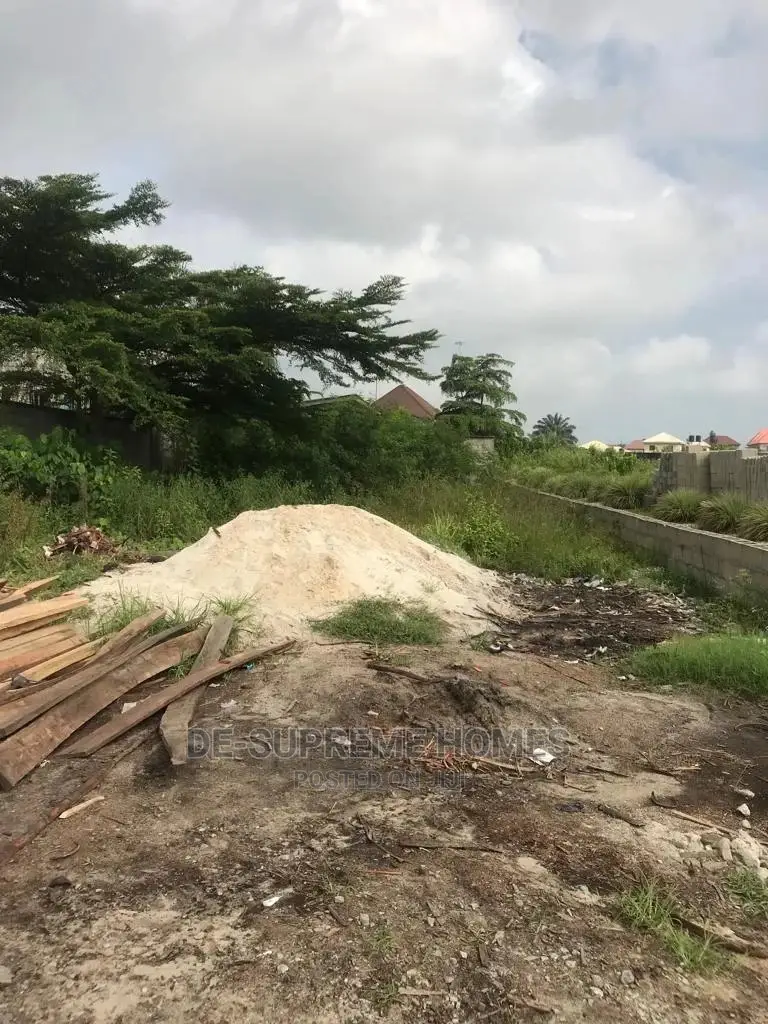 Half Plot of Land Facing Express
