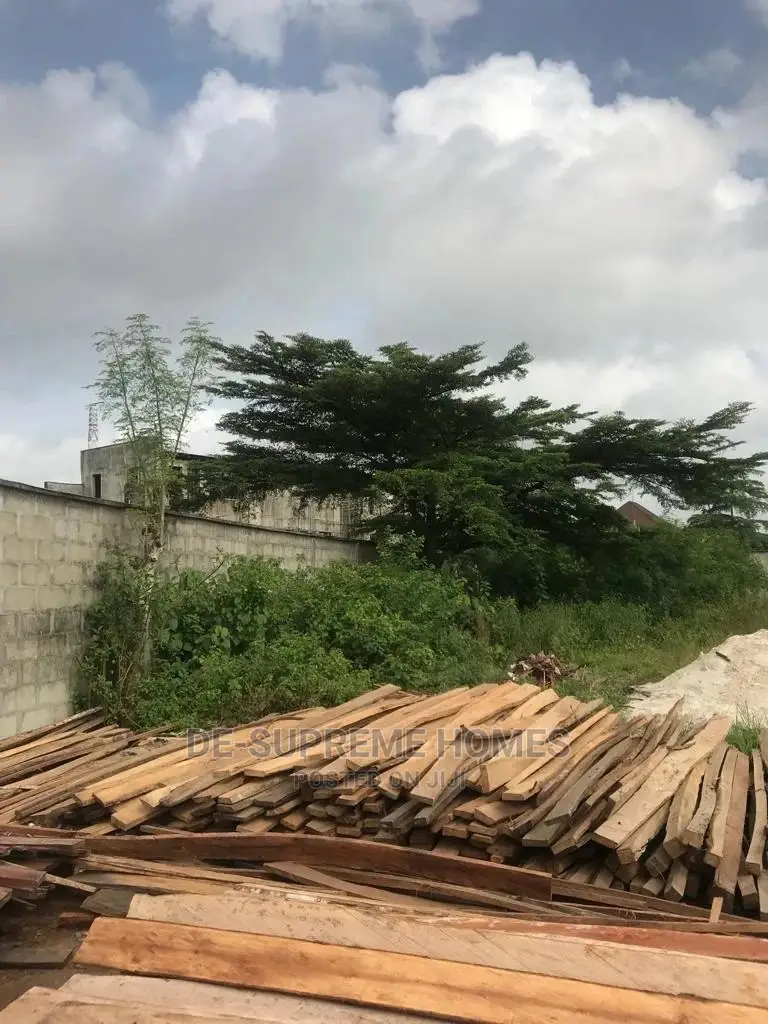 Half Plot of Land Facing Express
