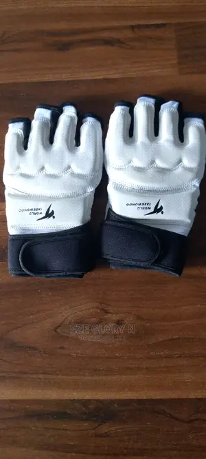 Original Teakwando Glove
