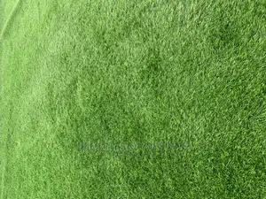 Artificial Green Grass