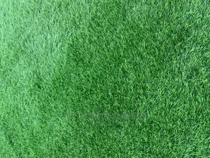 Artificial Green Grass
