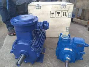 Flame Proof Motor
