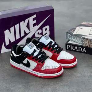 NBA X Nike SB Dunk Low EMB Chicago*