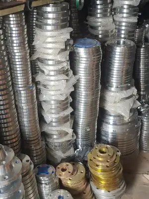 Stainless Steel Flanges