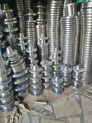 Stainless Steel Flanges