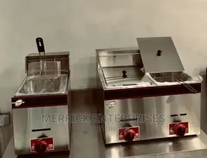 New Gas Fryer 10x2liters