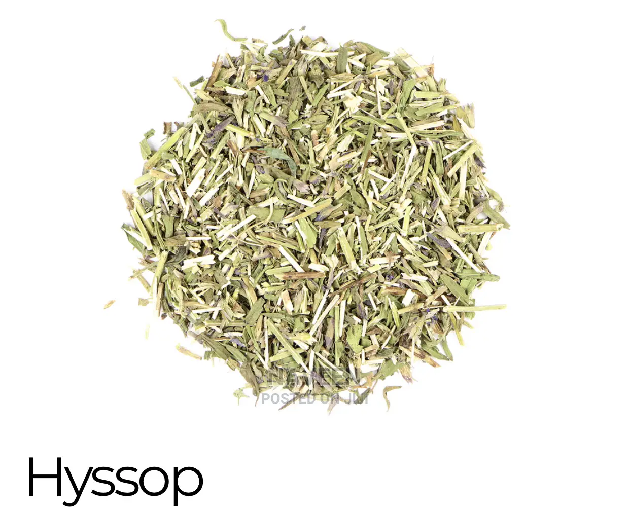 Hyssop Herb - 100g