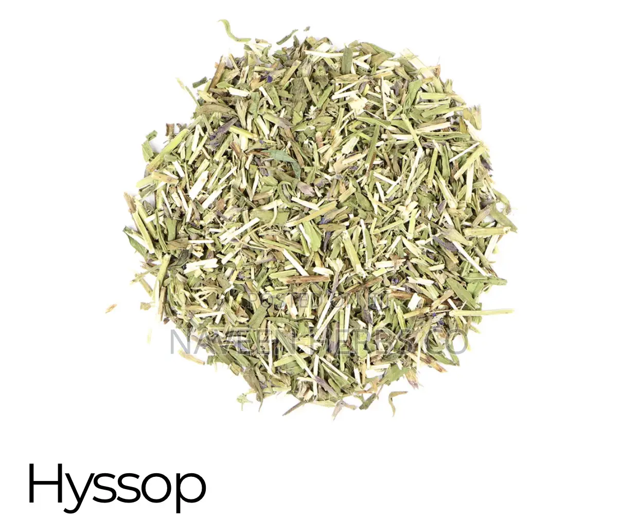 Hyssop Herb - 100g