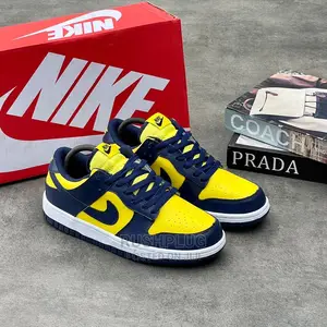 Nike Sb Dunk Low "Michigan"*