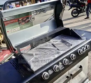 6burner Gas Barbecue Machine