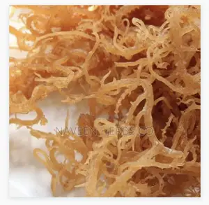 Premium Raw Sea Moss - 50g