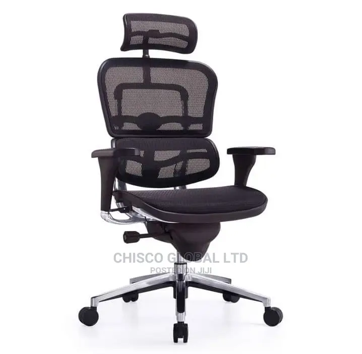 Office Chair (Orthopedic)