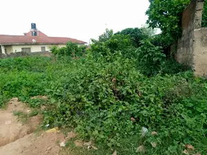 One Plot of Land at Adetunji Estate