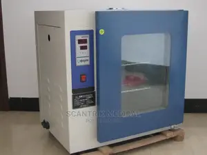 Electrothermal Thermostatic Drying Oven