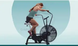 Commercial Assault Air Bike 12