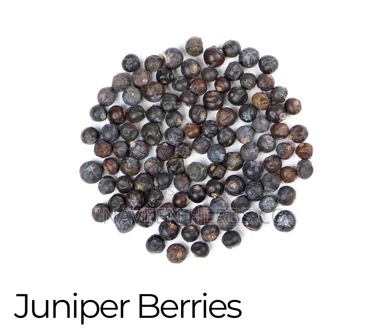 Juniper Berry - 50g