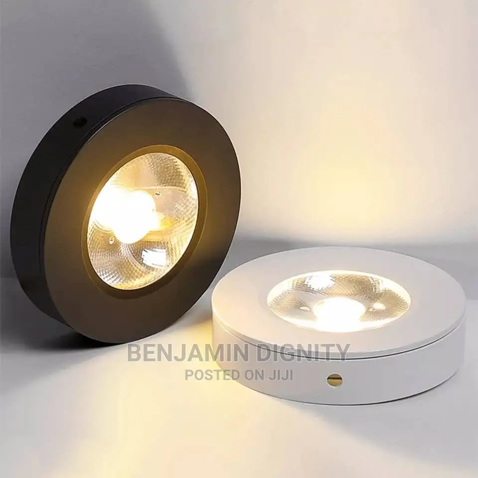 Led Surface Mounted Light