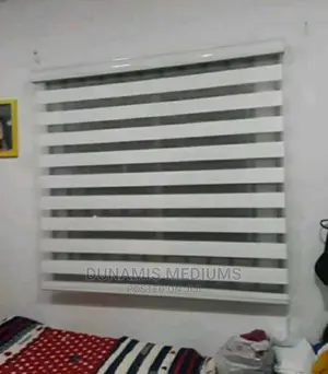 Window Blinds