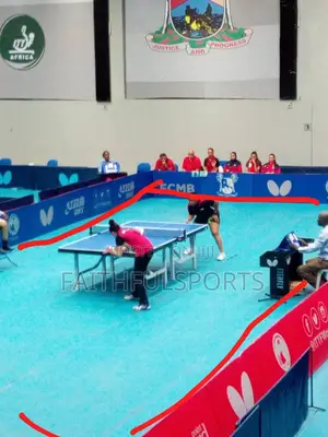 Butterfly Tournament Table Tennis