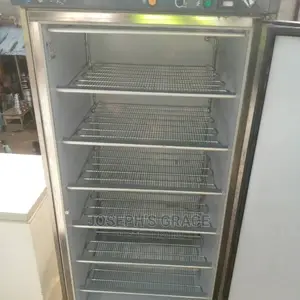 (Cold Room) Standing Freezer. Germany.