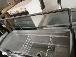 Supermerket Industrial Iceland Freezer.(Germany)